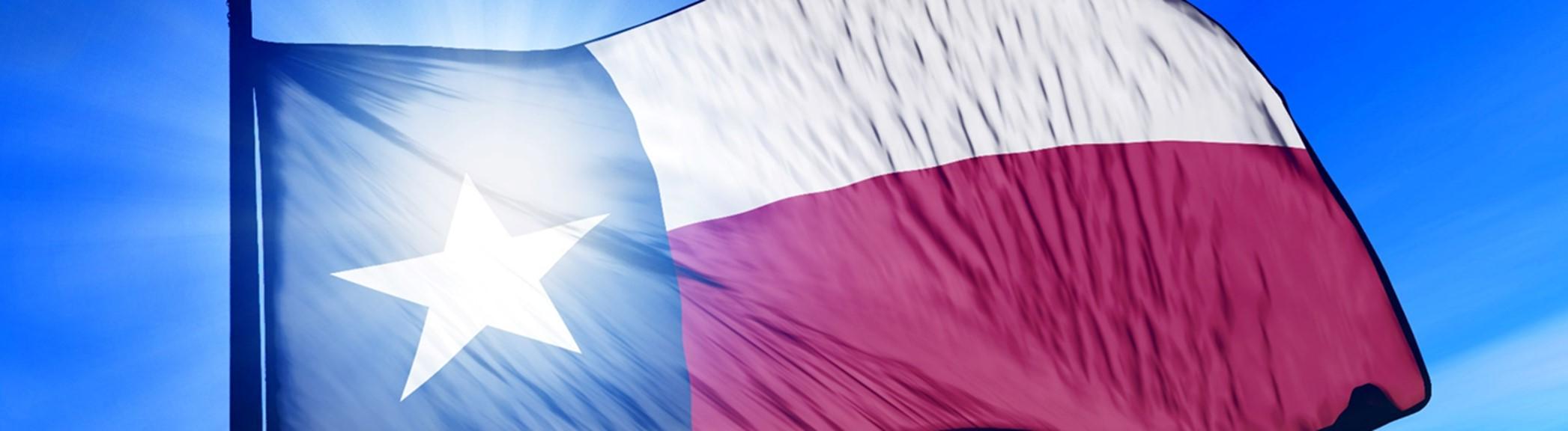 texas flag waving in the wind with the sun shining through it